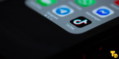 Musk Film TikTok Ban Report Highlights Separate Account and Ad Appeals