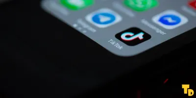 musk film tiktok ban report highlights separate account and ad appeals
