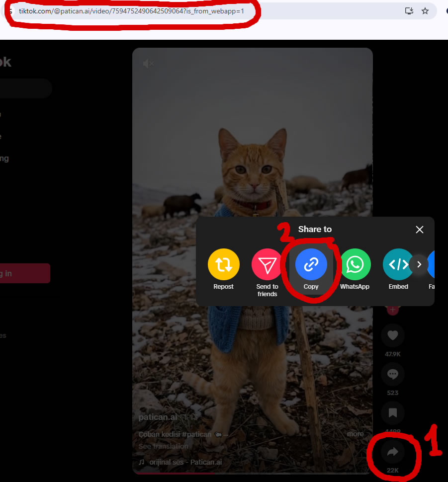 download tiktok thumbnail download tiktok thumbnail