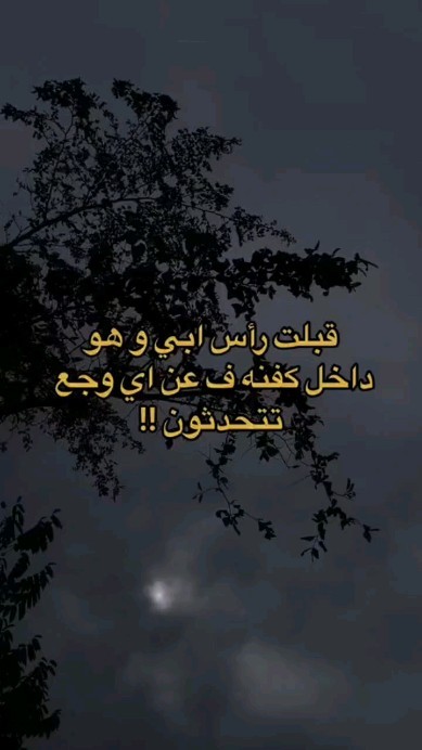 Instagram post shared by @m.alarifi2002