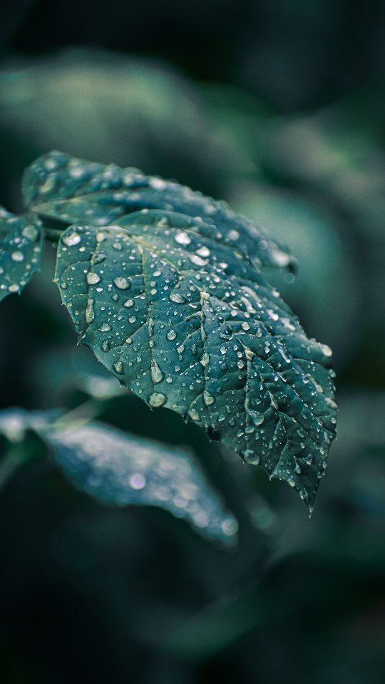 Instagram post shared by @vinay.graphy