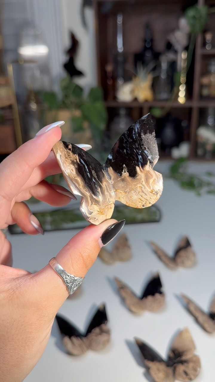 Instagram post shared by @hummingbee_crystals