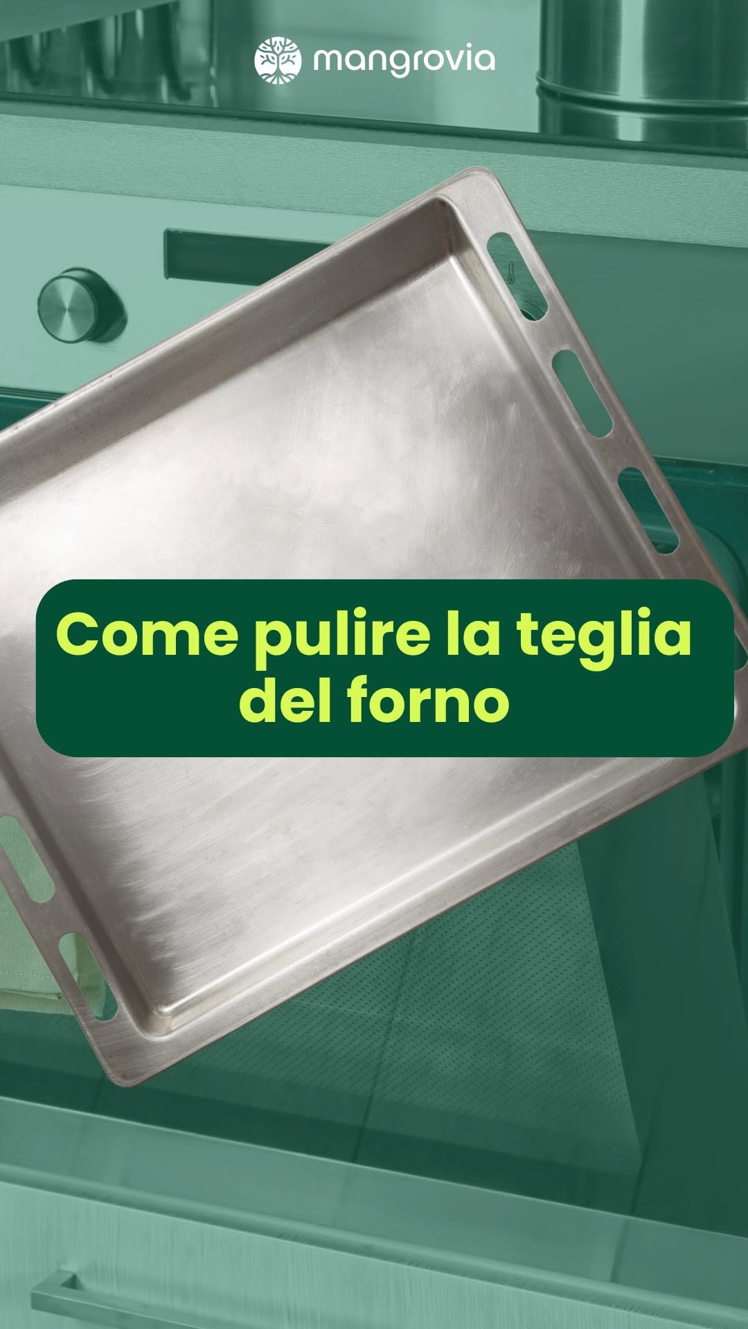 Instagram post shared by @mangroviashop