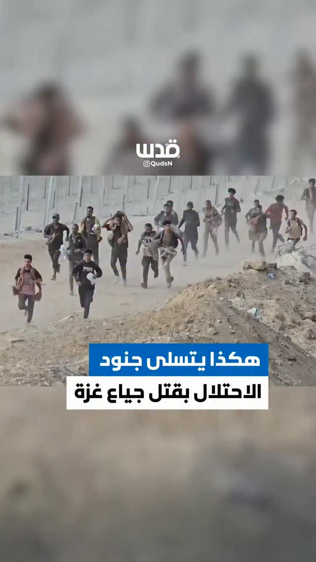 Instagram post shared by @qudsn