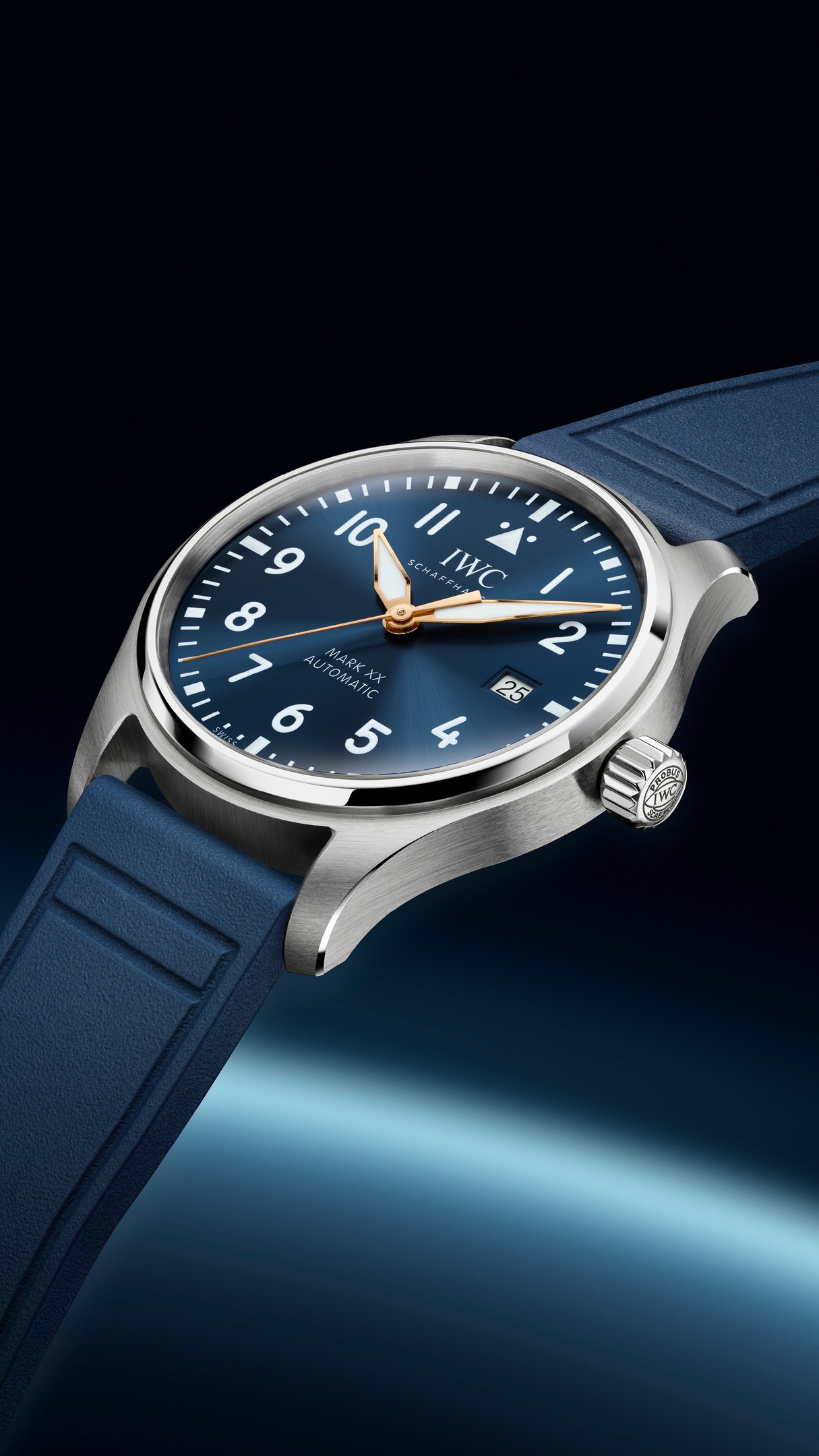Instagram post shared by @iwcwatches