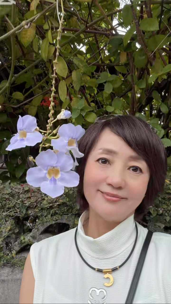 Instagram post shared by @shihohashimoto3