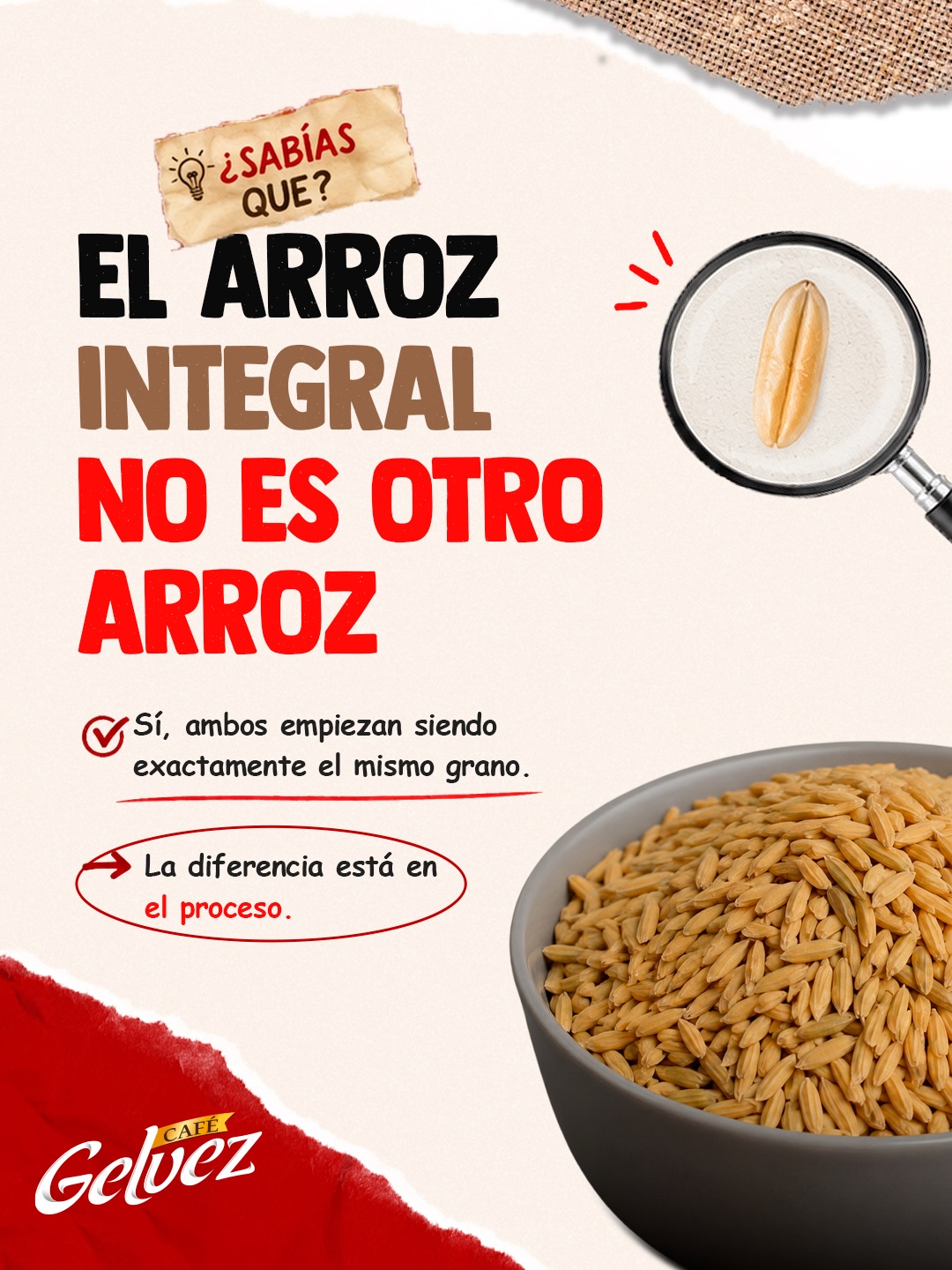Instagram post shared by @arrozgelvez.co