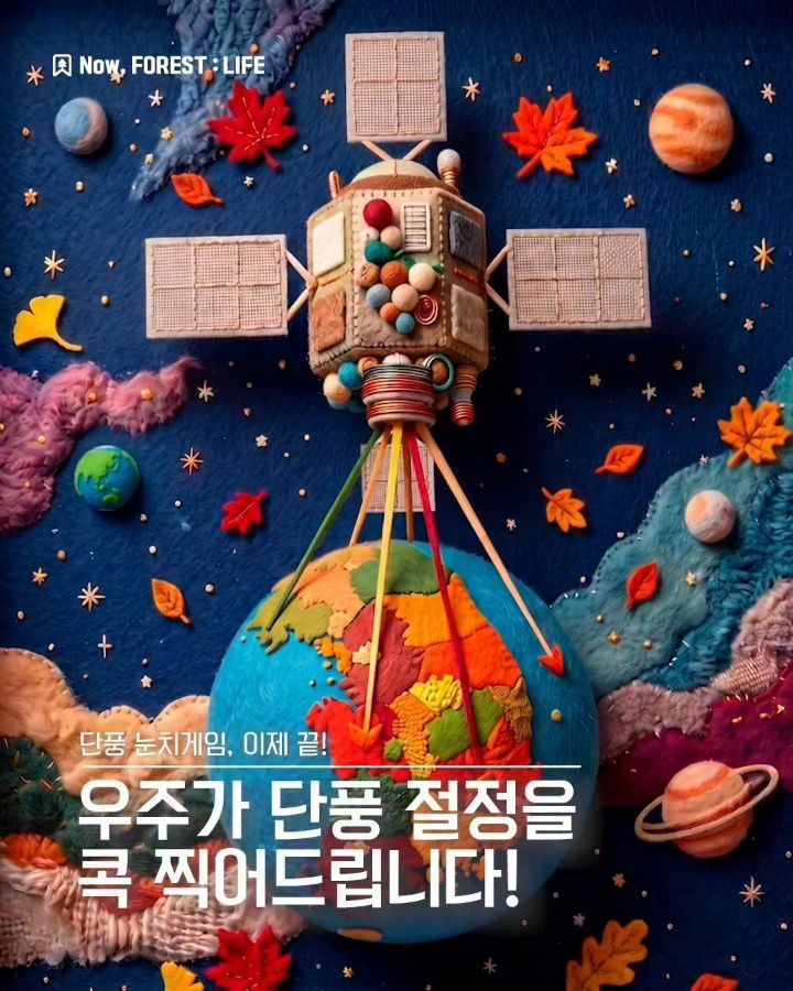 Instagram post shared by @forest_korea