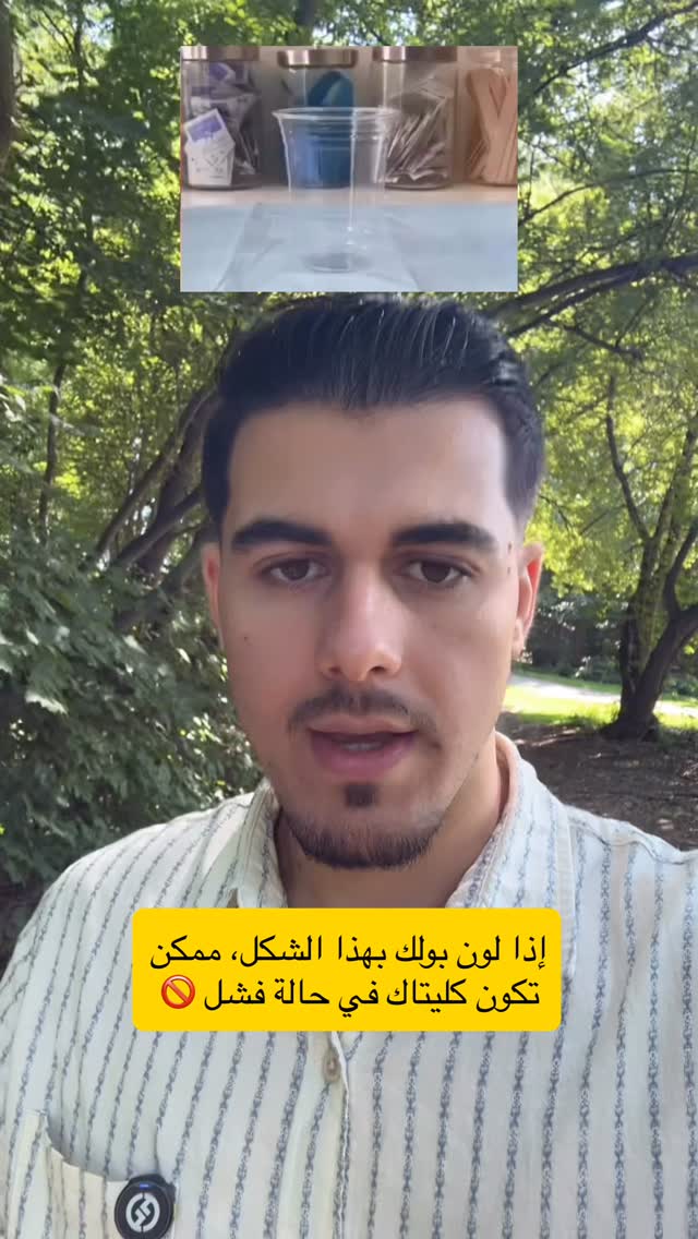 Instagram post shared by @thealialalousi