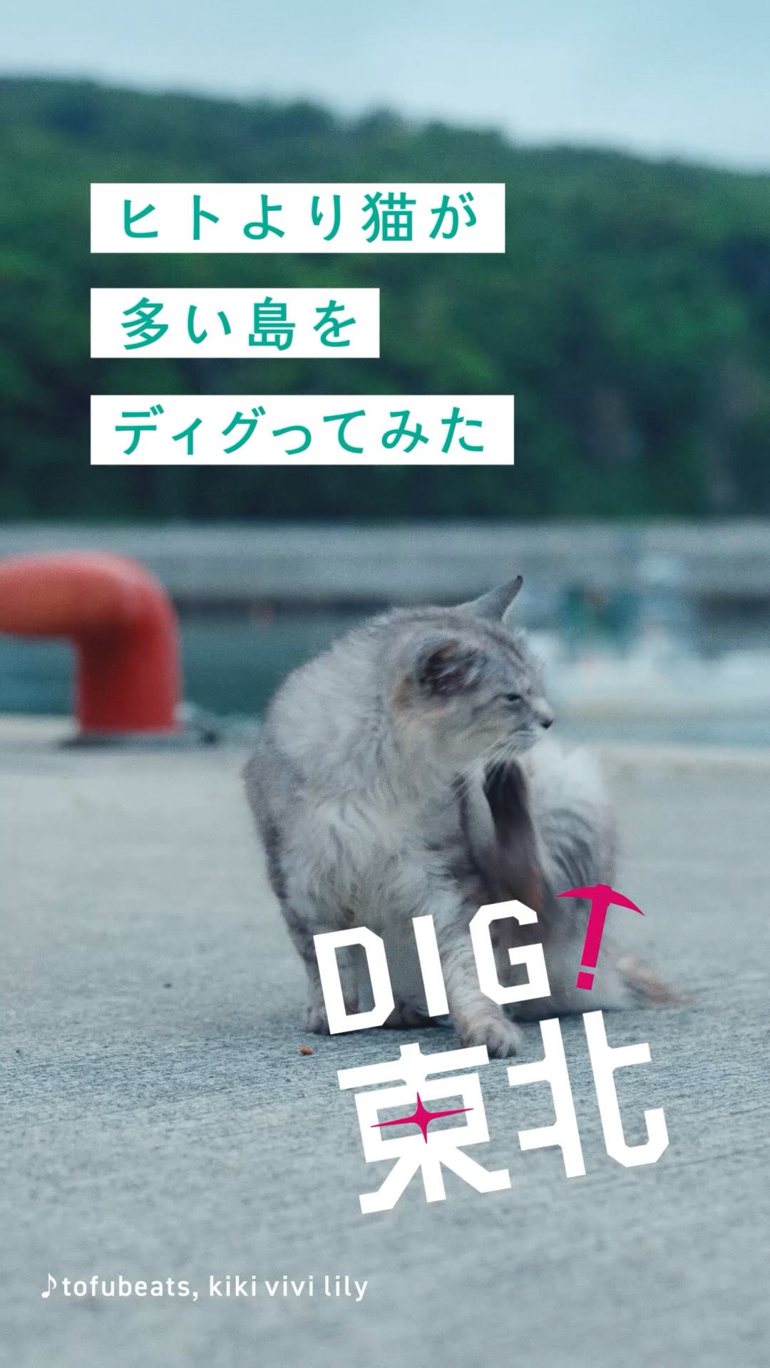 Instagram post shared by @digtohoku